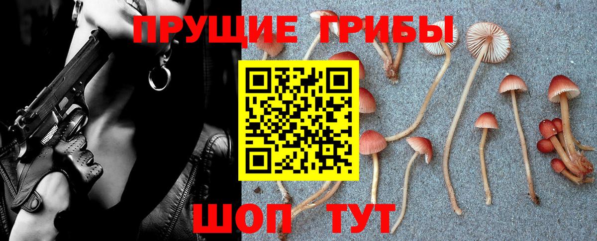 Галлюциногенные грибы GOLDEN TEACHER  Вход с VPN  Галлюциногенные грибы Psilocybine cubensis  Ноябрьск 